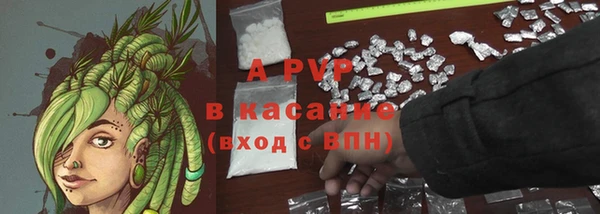 эйфоретик Абинск