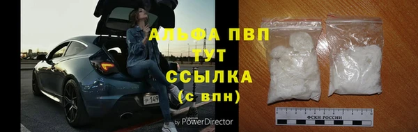 мяу мяу мука Абаза